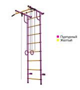 Детский Спортивный Комплекс для дома Пионер-С2н купить в Нижнем Новгороде с доставкой и установкой пурпурный